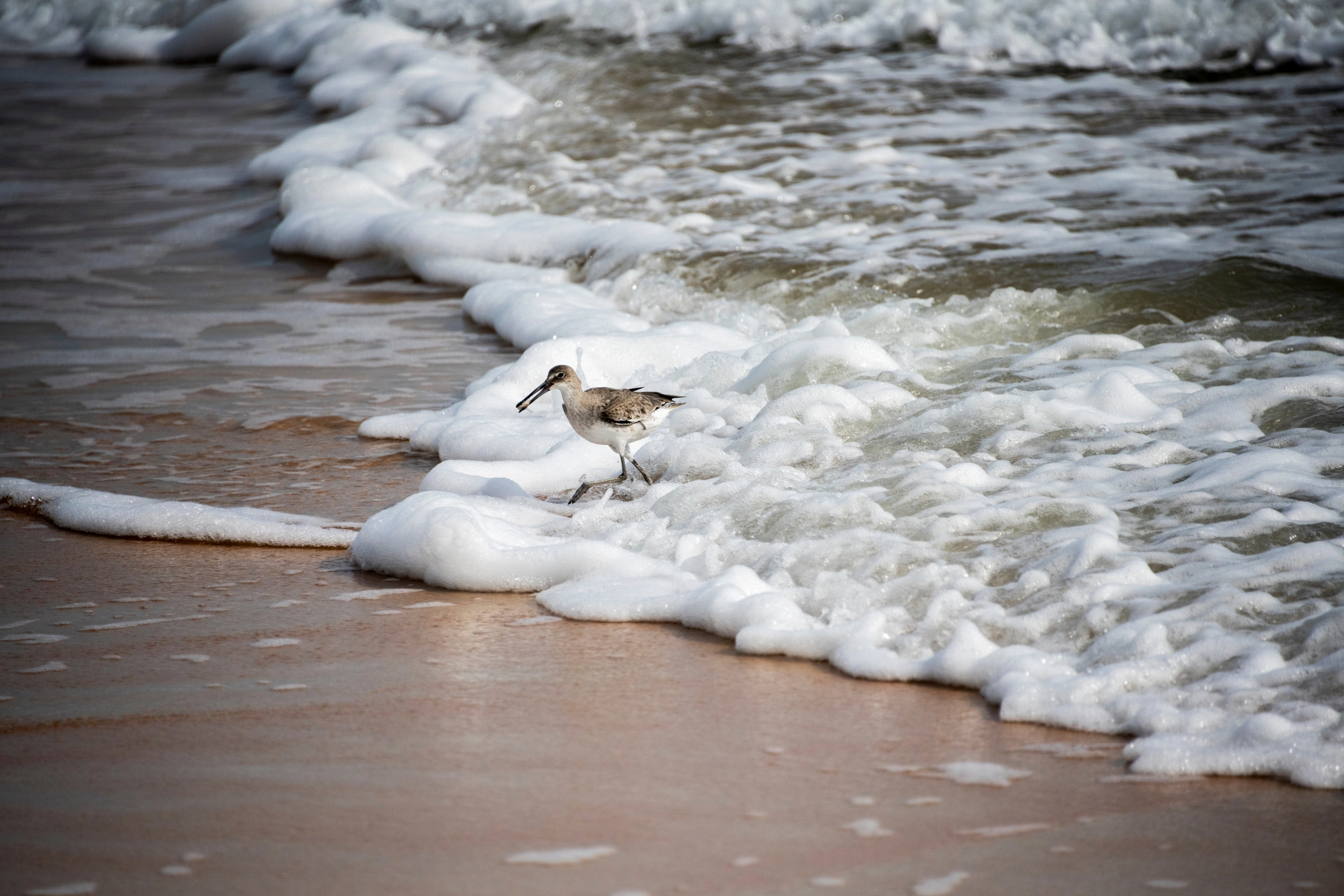 Piper_Islands_National_Park[1].webp